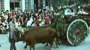 Bando de la Huerta 1973