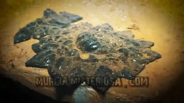 Panteón restos – Profanación panteón