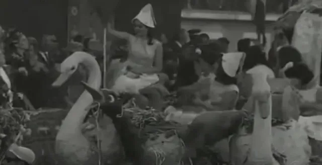 Batalla 1963 – Tragedia en la Batalla de las Flores